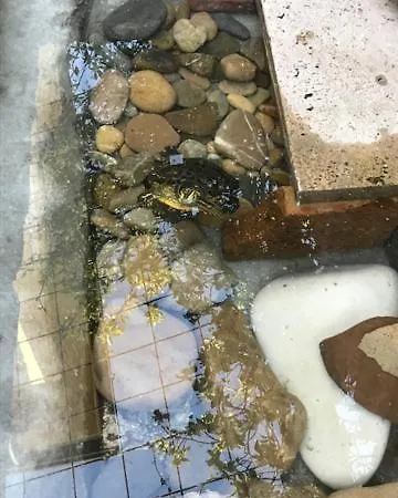 Panzió Grazia Rimini