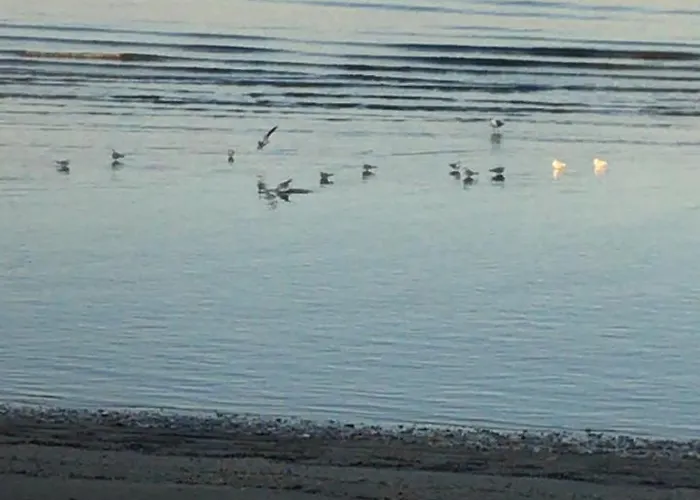 Bed & Breakfast Grazia