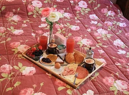 Grazia Couette-café Rimini