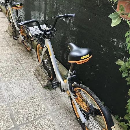 Grazia Couette-café Rimini